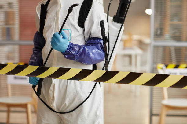 Professional Odor Removal technician working in Fellows, CA